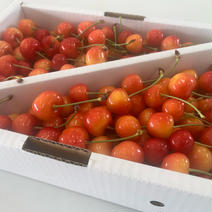 【2箱】紅秀峰　家庭用1kg 紅秀峰　家庭用2kg 果物や野菜などのお取り寄せ宅配食材通販産地直送アウル