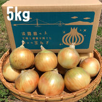 淡路島産冷蔵玉ねぎ　 5kg 北海道・沖縄・離島への配送不可商品 玉ねぎ　5kg 果物や野菜などのお取り寄せ宅配食材通販産地直送アウル