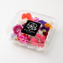 ＜室内栽培＞【EatHana イトハナ】エディブルフラワーMIXパック（20輪入り） 20輪×１パック 果物や野菜などのお取り寄せ宅配食材通販産地直送アウル