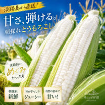 ホワイトコーンの産地直送食材一覧（通販・お取り寄せ）-産直アウル