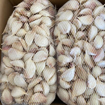 岩手県産にんにくバラ小 2キロ 果物や野菜などのお取り寄せ宅配食材通販産地直送アウル