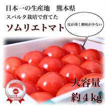 受賞歴３回‼️ソムリエトマト4kg（１８玉～３０玉) 約4kg 果物や野菜などのお取り寄せ宅配食材通販産地直送アウル