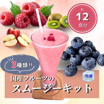 手軽に楽しめる‼︎国産フルーツスムージーキット（12食分） 1袋100g✕12食分 果物や野菜などのお取り寄せ宅配食材通販産地直送アウル