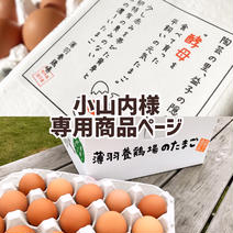 栃木の美味しい卵だよー 果物や野菜などのお取り寄せ宅配食材通販産地直送アウル