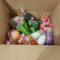 旬のお野菜お楽しみBOX　野菜詰め合わせ セット商品の例　大根２本　なす3本　ズッキーニ1本　など 果物や野菜などのお取り寄せ宅配食材通販産地直送アウル