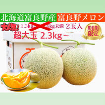 【限定】ご自宅用超大玉富良野メロン2.3kg〜　2玉入 超大玉富良野メロン　2.3kg〜 2玉入 果物や野菜などのお取り寄せ宅配食材通販産地直送アウル