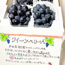 【朝採り糖度16〜18】クイーンベリーA1kgご家庭用2房 クイーンベリーa2房1kg 果物や野菜などのお取り寄せ宅配食材通販産地直送アウル