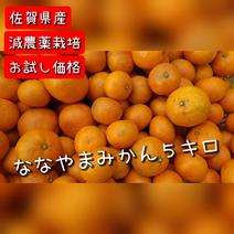 ななやまみかん５kg 5kg 果物や野菜などのお取り寄せ宅配食材通販産地直送アウル