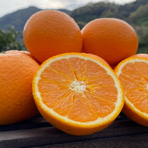 【愛媛県産🍊清見】今季の締めくくりとなります😊3.0k入 3.0k入 果物や野菜などのお取り寄せ宅配食材通販産地直送アウル