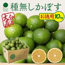 【お徳用・訳あり品】超便利な種無しかぼす約10kg 種なし徳用かぼす10kg 果物や野菜などのお取り寄せ宅配食材通販産地直送アウル
