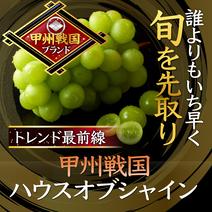 【2025年6月下旬予約シャインマスカット】圧倒的糖度×圧倒的大粒感を誇る甲州戦国ブランド『ハウスオブシャイン』大容量約2キロ ハウスオブシャイン約2キロ 果物や野菜などのお取り寄せ宅配食材通販産地直送アウル