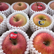 りんごの食べ比べBOX🍎約3kg箱　9〜12玉入 約3kg箱 10〜14玉 果物や野菜などのお取り寄せ宅配食材通販産地直送アウル