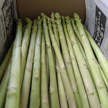 グリーンアスパラガスの産地直送食材一覧（通販・お取り寄せ）-産直アウル