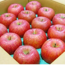 16〜18玉入り山形県産葉とらずサンふじ 5.0kg 果物や野菜などのお取り寄せ宅配食材通販産地直送アウル