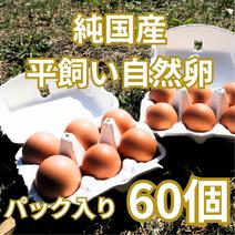 【パック入り｜送料無料！60個】とれたて純国産平飼い自然卵（有精卵）全て国産・添加物／保存料不使用｜大自然の恵みをそのまま提供 60個 果物や野菜などのお取り寄せ宅配食材通販産地直送アウル