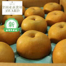 【新人賞】長野県産　梨　南水　10kg  贈答品 10kg 果物や野菜などのお取り寄せ宅配食材通販産地直送アウル