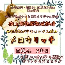 美味しさギュギュッと凝縮♪【樹上完熟超熟成栽培】濃厚な味わいが特徴の洋梨《メロウリッチ》 メロウリッチ2キロ 果物や野菜などのお取り寄せ宅配食材通販産地直送アウル