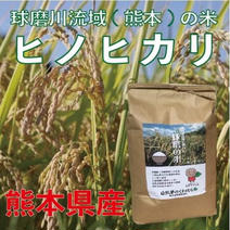 <今月特価>[令和3年産]熊本県産球磨川流域の米 5kg袋 x 3 5kg袋 x 3 果物や野菜などのお取り寄せ宅配食材通販産地直送アウル