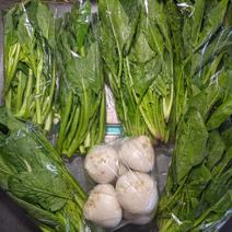 カブ、ホウレンソウ、茎立ち 約3..3kg 果物や野菜などのお取り寄せ宅配食材通販産地直送アウル