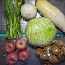 食材ボックス5.8kg 約5.8kg 果物や野菜などのお取り寄せ宅配食材通販産地直送アウル