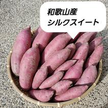 シルクスイート（野菜＞さつまいも）の産地直送商品一覧（通販・お