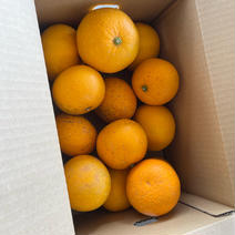 [大特価]八朔みかん.3kg!!訳あり品.農家直送 3kg 果物や野菜などのお取り寄せ宅配食材通販産地直送アウル