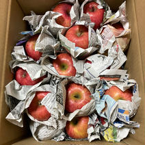 最終❗️山形県産　サンふじ🍎小玉🍎10キロ 訳あり家庭用❗️ 10キロ 果物や野菜などのお取り寄せ宅配食材通販産地直送アウル