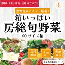 【関西・北陸・東海・信越へ配送の方】60サイズ箱いっぱい房総旬野菜詰め合わせ（60サイズ箱） 60サイズ箱いっぱい 果物や野菜などのお取り寄せ宅配食材通販産地直送アウル