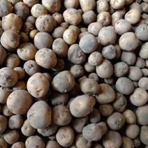 キタアカリの産地直送食材一覧（通販・お取り寄せ）-産直アウル