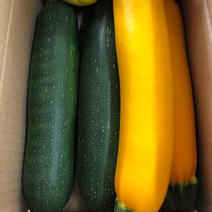 ズッキーニ大好きセット❣️ ３キロ程度 果物や野菜などのお取り寄せ宅配食材通販産地直送アウル