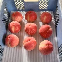 早生白鳳 3L~5L(ランダム)　5~6個入り　約２kg 果物や野菜などのお取り寄せ宅配食材通販産地直送アウル