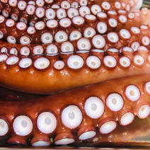 北三陸田野畑産　茹で水タコ　足 約1kg 茹で水ダコ足約1kg 果物や野菜などのお取り寄せ宅配食材通販産地直送アウル