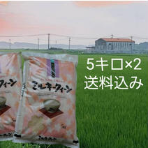 新米ミルキークィーン精白米5キロ×2袋 5キロ×2 果物や野菜などのお取り寄せ宅配食材通販産地直送アウル