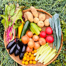 10キロセット！栽培期間農薬化学肥料不使用の野菜パック 段ボール含めて10キロ 果物や野菜などのお取り寄せ宅配食材通販産地直送アウル