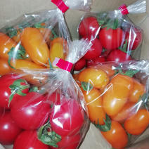 次男農園の食べ比べミニトマト　2kg 2kg 果物や野菜などのお取り寄せ宅配食材通販産地直送アウル
