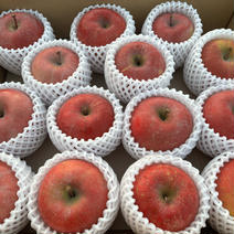 訳あり❗️青森の特産品りんご🍎サンフジ 4~5kg 13~15個 果物や野菜などのお取り寄せ宅配食材通販産地直送アウル