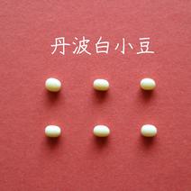 【 丹波白小豆 】（送料込）上品すぎる姿と味・・・純度100％の白餡は絶品です　　　農薬・化学肥料・畜産堆肥不使用 200g 果物や野菜などのお取り寄せ宅配食材通販産地直送アウル