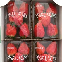【SALE】特大サイズ　『やよいひめ』 300g×4パック 果物や野菜などのお取り寄せ宅配食材通販産地直送アウル