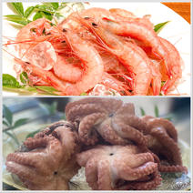 【夏ギフト特割】推しメンのトロダコとトロけるような食感と美味！珊瑚色をしたトロえび中小 トロえび中小1×トロダコ1セット 果物や野菜などのお取り寄せ宅配食材通販産地直送アウル