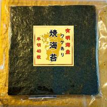 有明海産 訳あり 焼き海苔 半切り40枚（保存に便利なチャック付き） のり 海苔 ノリ 焼きのり 有明産 おにぎり 寿司 手巻き寿司 半切り40枚（板のり 20枚） 果物や野菜などのお取り寄せ宅配食材通販産地直送アウル
