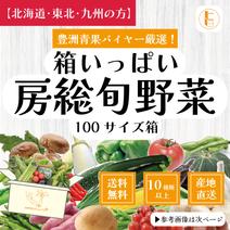 【北海道・東北・九州へ配送の方】100サイズが圧倒的にお買得！箱いっぱい房総旬野菜詰め合わせ（100サイズ箱） 100サイズ箱いっぱい 果物や野菜などのお取り寄せ宅配食材通販産地直送アウル