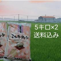 令和7年産新米入荷！お米農家さんから直接購入♪ ｜ 産直アウル 農家