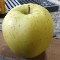 【家庭用】減農薬シナノゴールド 5kgx1箱 果物や野菜などのお取り寄せ宅配食材通販産地直送アウル