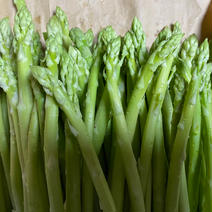 あったまボサボーサ　アスパラガス 1kg 果物や野菜などのお取り寄せ宅配食材通販産地直送アウル