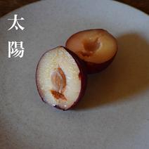 その他すもも・プラムの産地直送食材一覧（通販・お取り寄せ）-産直アウル