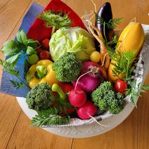 京野菜のブーケ！【母の日ギフト】 バケツにお野菜が詰まっています！ 果物や野菜などのお取り寄せ宅配食材通販産地直送アウル