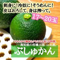 高知県産 ぶしゅかん 17-20玉 酢みかん ぶしゅかん17-20玉 果物や野菜などのお取り寄せ宅配食材通販産地直送アウル