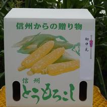 野菜人気ランキング ｜ 産地直送・通販・お取り寄せ【産直アウル】