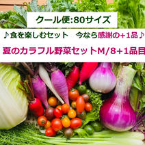 【大好評】★+1品増量中 『夏のカラフル野菜セットＭ/８+１品目』お中元可 80サイズ箱いっぱいにカラフル野菜と一般野菜を計8品目、今なら増量中です！ 果物や野菜などのお取り寄せ宅配食材通販産地直送アウル