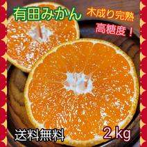 有田みかん🍊木成り完熟　高糖度　2kg（箱込）送料無料 2kg（箱込） 果物や野菜などのお取り寄せ宅配食材通販産地直送アウル